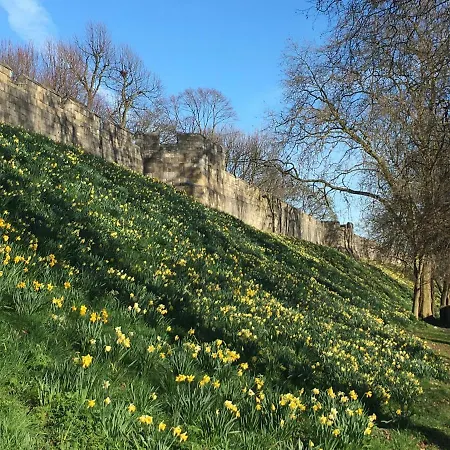 - Skeldergate Yo1 公寓 约克