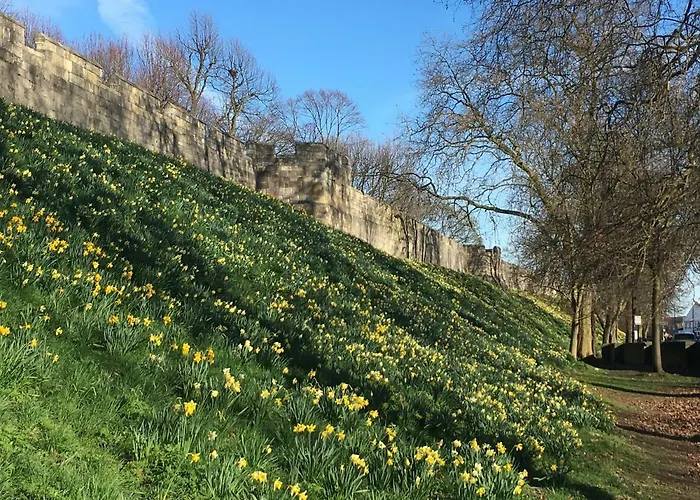 - Skeldergate Yo1 アパート ヨーク